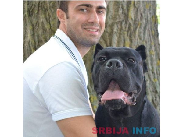CANE CORSO - muzjak sam. Srbije - parenje