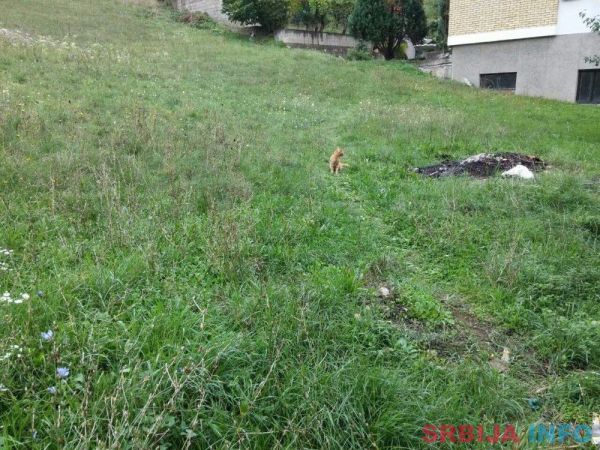 Na prodaju plac od 21 ara