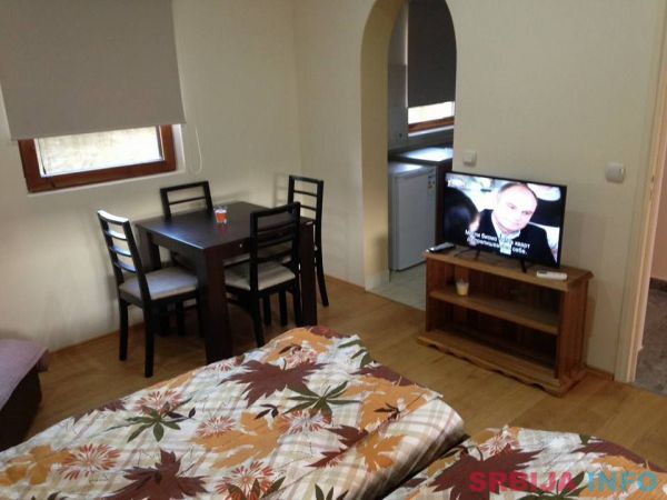 IZDAJEM APARTMAN NA DAN U BORCI