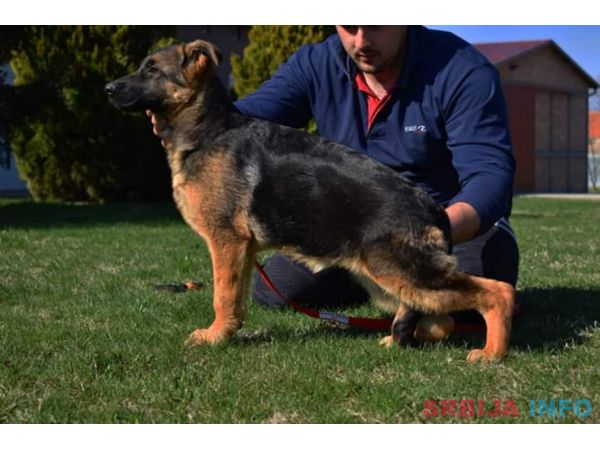 Vrhunska ženska &scaron;tenad 