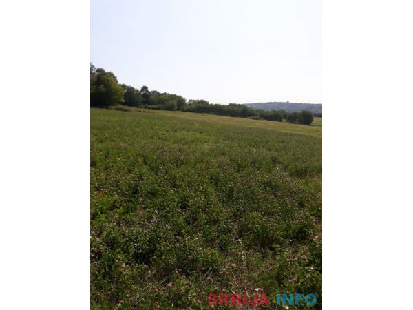 Prodajem plac 1.10ha u Vranicu