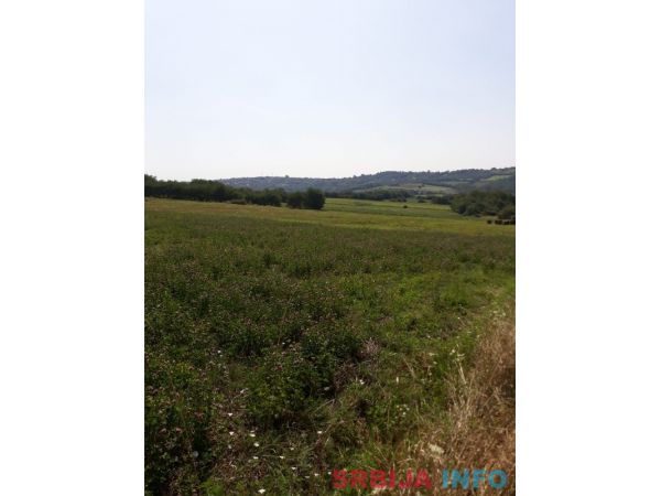 Prodajem plac 1.10ha u Vranicu