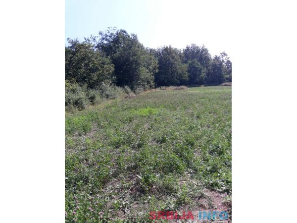 Prodajem plac 1.10ha u Vranicu