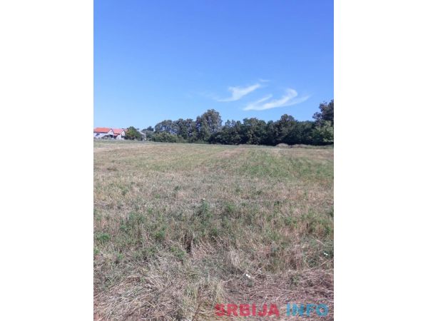 Prodajem plac 1.10ha u Vranicu