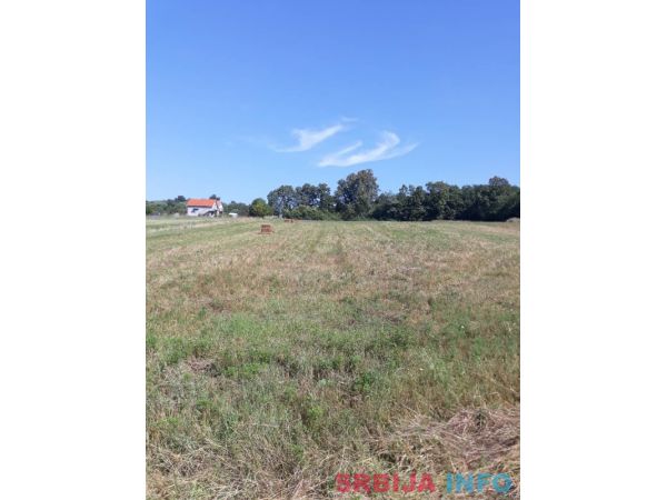 Prodajem plac 1.10ha u Vranicu