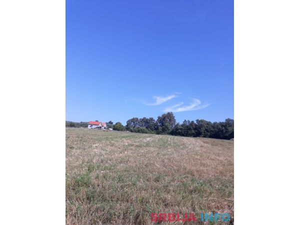 Prodajem plac 1.10ha u Vranicu