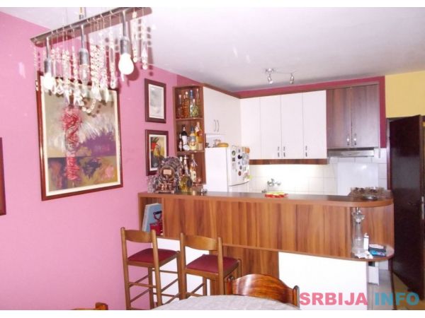 Prodajem kucu u Nisu-Pasi Poljana