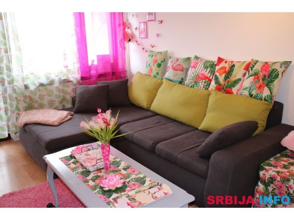 Pink Flamingo Nest - dizajn apartman Senta (do 5 osoba)