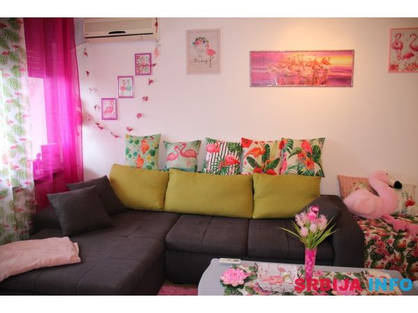 Pink Flamingo Nest - dizajn apartman Senta (do 5 osoba)