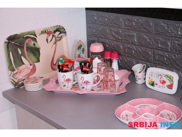 Pink Flamingo Nest - dizajn apartman Senta (do 5 osoba)
