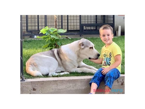 Poklanjam kuju Azijata