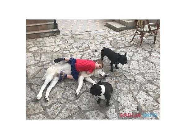 Poklanjam kuju Azijata