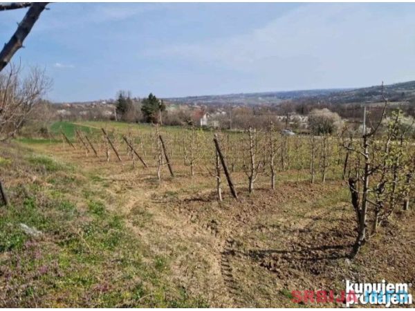 Gradjevinsko zemljište. 48 ari Popović 