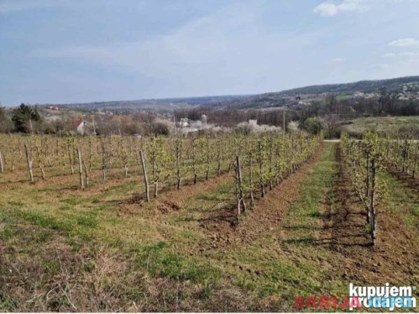 Gradjevinsko zemlji&scaron;te. 48 ari Popović 