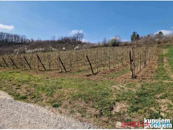 Gradjevinsko zemlji&scaron;te. 48 ari Popović 