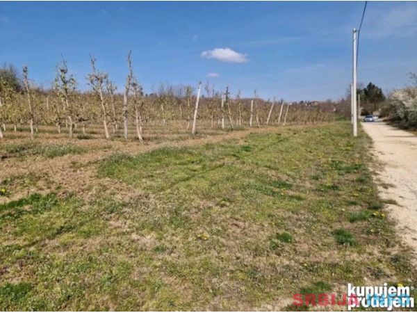 Gradjevinsko zemlji&scaron;te. 48 ari Popović 