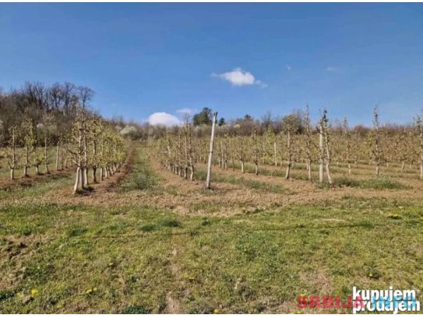 Gradjevinsko zemlji&scaron;te. 48 ari Popović 