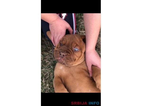 Bordo&scaron;ka doga &scaron;tene