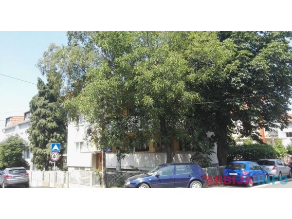 Cetvorosoban stan u Jajincima