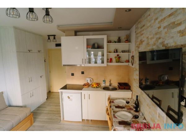 Apartman Ristic-Vrnjacka Banja