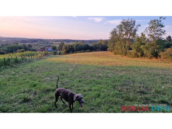 Plac na prodaju Ducina-Sopot