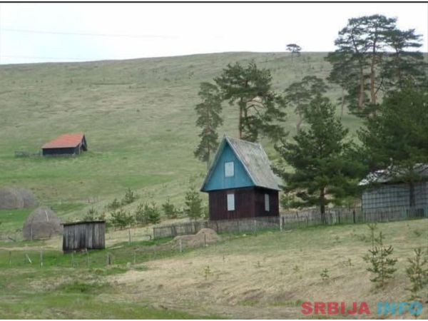 Zlatiborski Dukat-zemljiste,investicija-Čigota