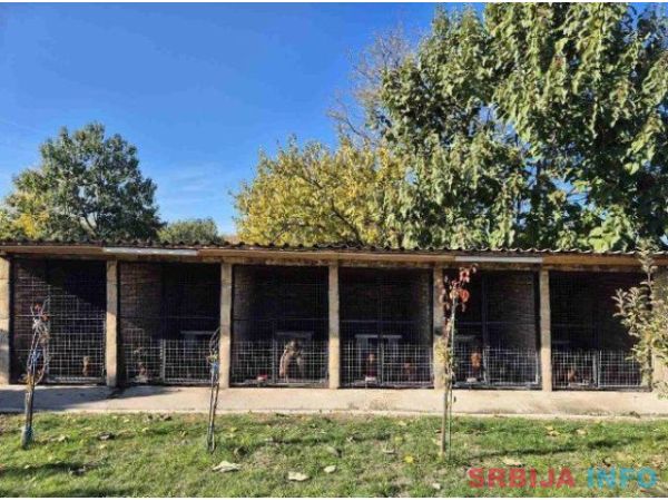 Jazavičar &scaron;tenci