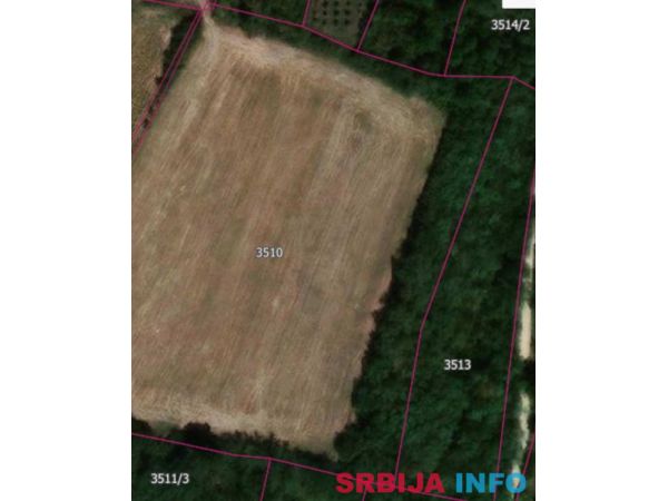 Na prodaju njiva u Topoli/Oplenac 1,5h I &scaron;uma 