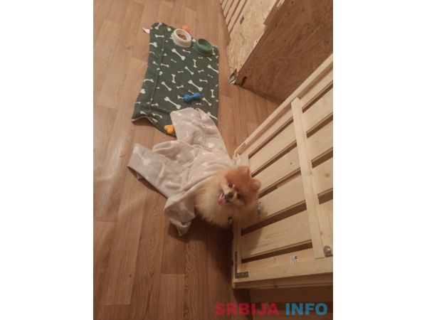 Pansion za pse ˝Fito˝