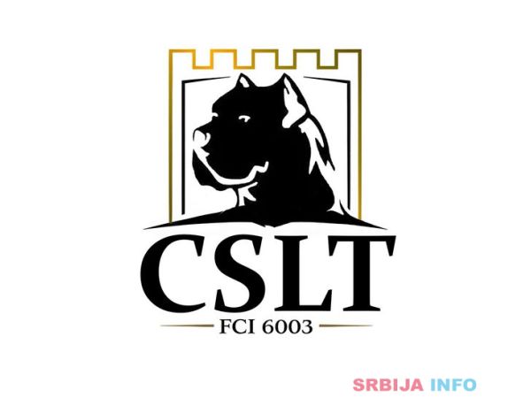 Cane Corso &scaron;tenci