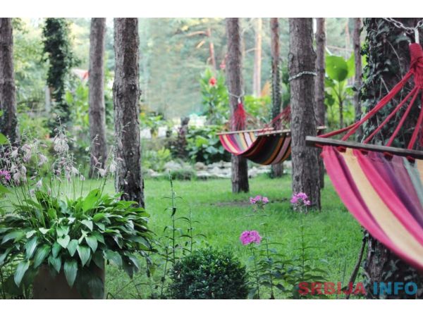 Vila Dunavski Raj - Vinci (Golubac)