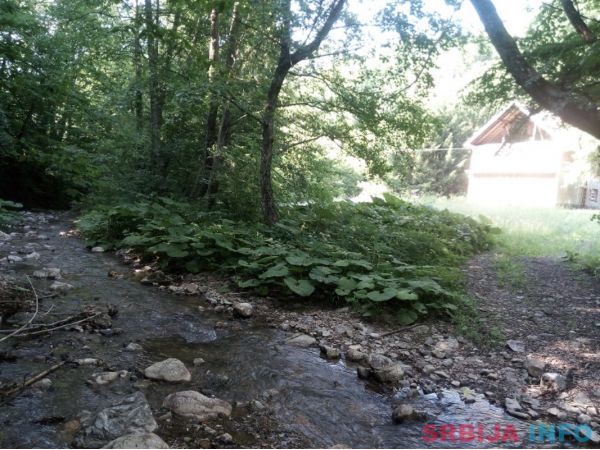 Kuca pored reke-Ljubovidje