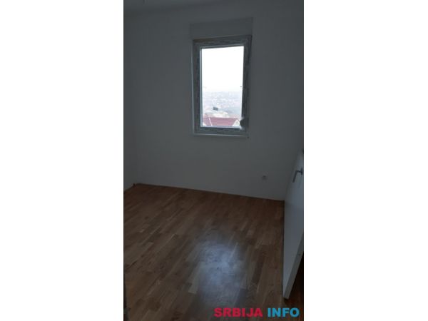 Cvetanova Cuprija, dvoiposoban-uknjizen