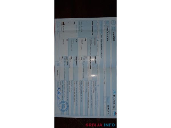 &Scaron;tenci Nemačke doge 