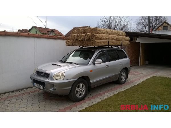 Trska za ograde