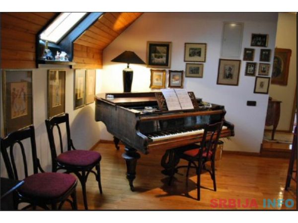 Prodajem vilu u Soko Banji