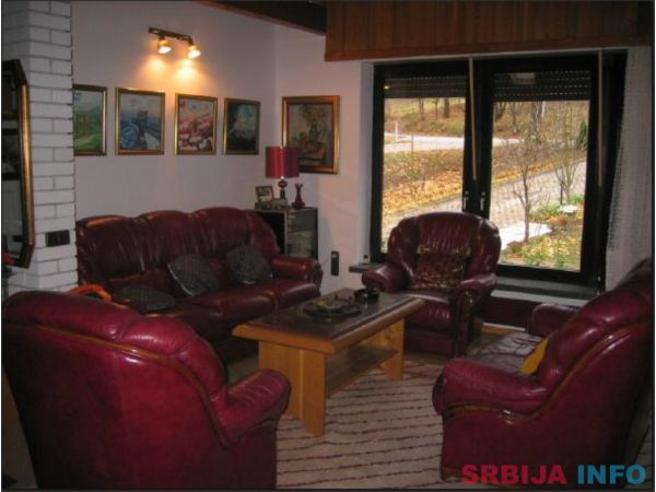 Prodajem vilu u Soko Banji