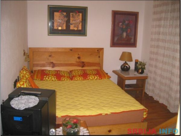 Prodajem vilu u Soko Banji