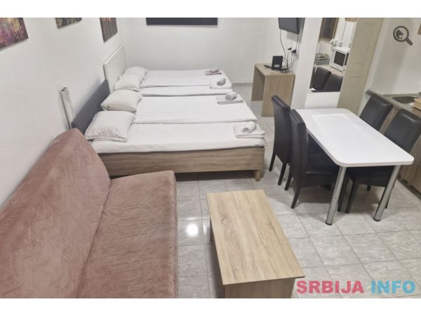 Studio Apartman Pionir 6 Beograd Palilula