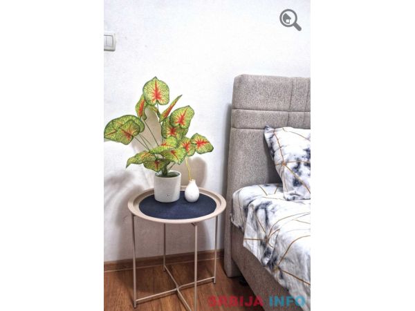 Studio Apartman City Nest Beograd Vracar