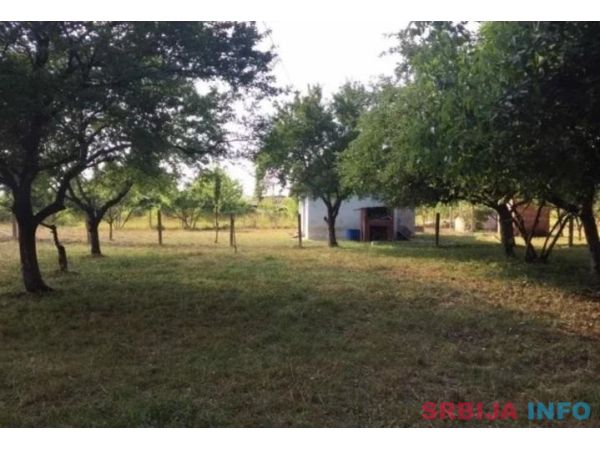 Prodajem kucu sa velikim placem-Obrež