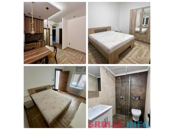 Izdajem dva dvosobna stana-Vojvode Stepe