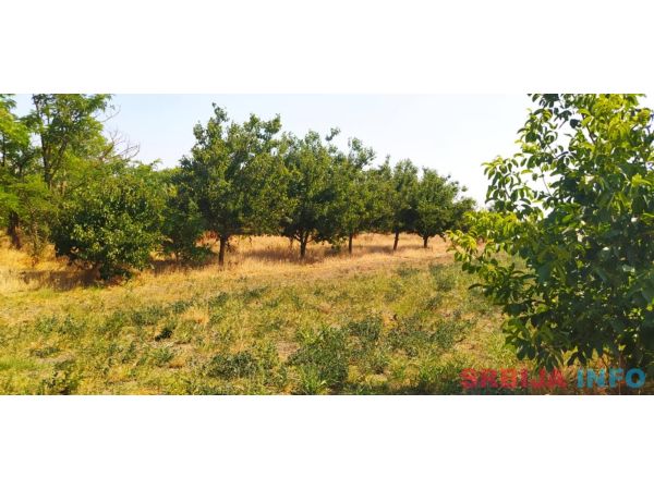 Kuća, Majdan (Novi Kneževac), 110 m2