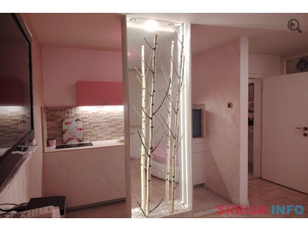 Studio Apartman Pinky Beograd Zemun