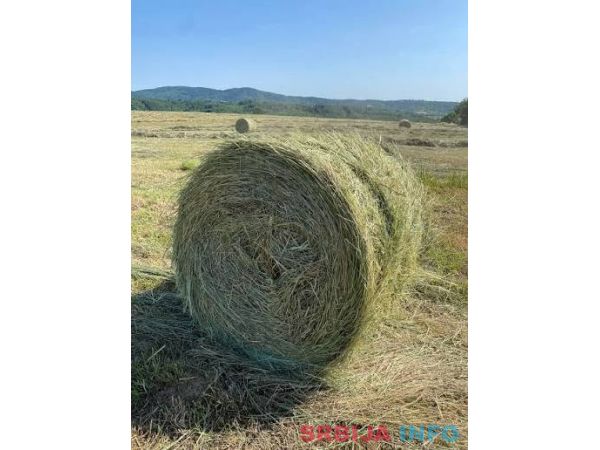Seno lucerke ekstra kvaliteta