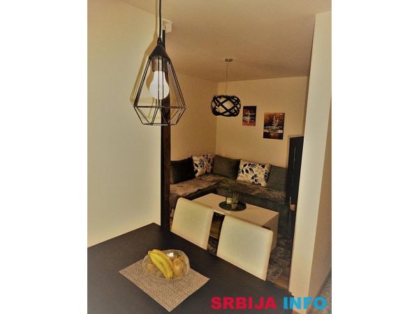 Vila Darija_apartman 8_Radović Zlatibor