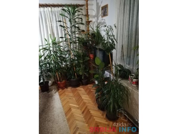 Kuca sa poslovnim prostorom-Bajina Basta