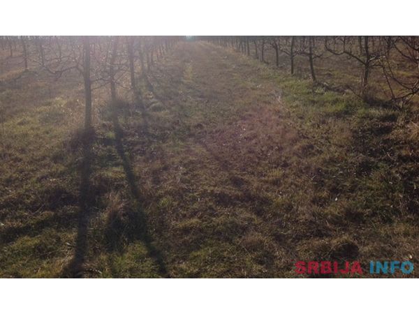 Prodajem seosko domacinstvo, Cacak-Jezevica