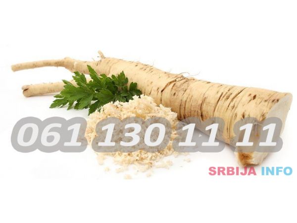 Prodajem domaći ren u korenu 