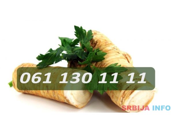 Prodajem domaći ren u korenu 